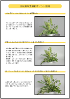 添削写真説明書